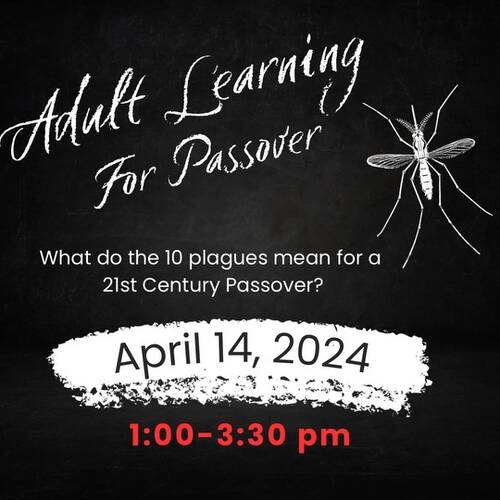 Banner Image for Adult Learning for Passover
